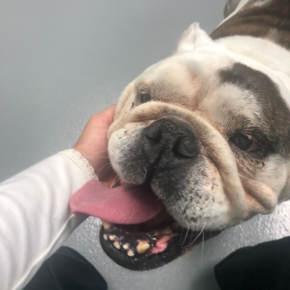 Meet your Posher, Priscilla